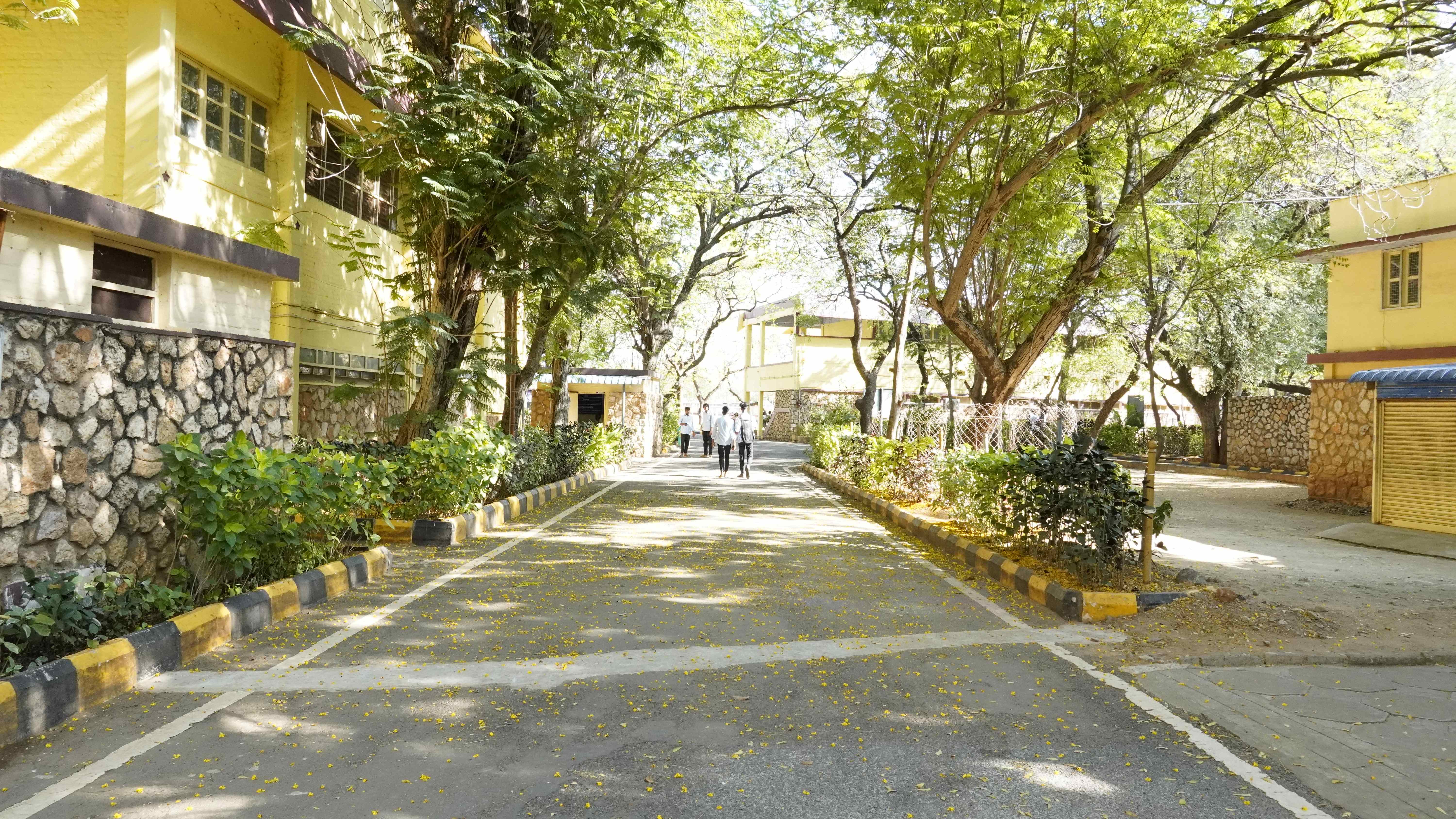 College Campus
